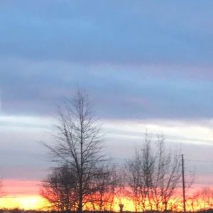 Meet your Posher, Bella